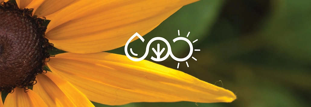 Outdoor Sylvania Community Parks brand mark on sunflower